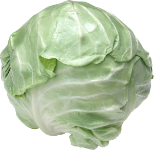 Cabbage PNG image-8800